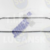 EPL-881, OIL PAN GASKET — SLP