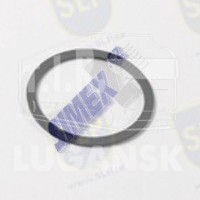 EPL-947, SEALING RING — SLP