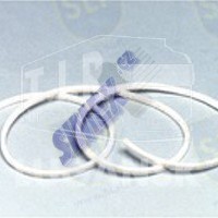 ESL-343, GASKET EXHAUST HOSE — SLP