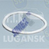 EVF-147, FELT SEAL — SLP