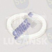 EVF-152, FELT SEAL — SLP