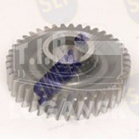 GBG-036, GEAR — SLP