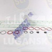 MGS-025, MANIFOLD GASKET SET — SLP