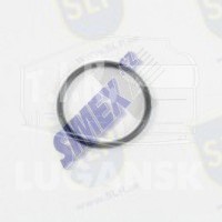 OR-02021, O-RING — SLP