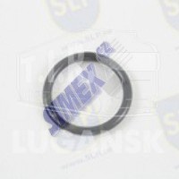 OR-12021, O-RING — SLP