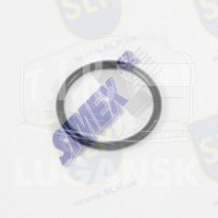 OR-12038, O-RING — SLP