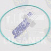 OR-2065, O-RING — SLP
