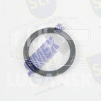 OR-22030, O-RING — SLP