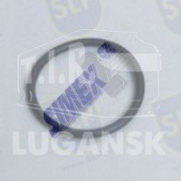 OR-254, O-RING — SLP