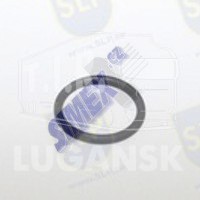OR-8209, O-RING — SLP