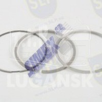 PRK-700, PISTON RING KIT — SLP