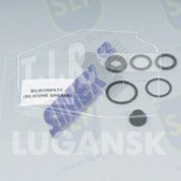 RK-452S, REPAIR KIT CLUTCH SERVO — SLP
