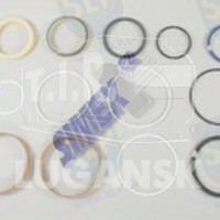RK-9139, SEAL KIT BOOM CYLINDER — SLP