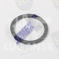 RS-841, RUBBER GASKET — SLP