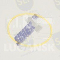 STR-877, BACK-UP RING — SLP