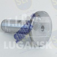 TA-975, PIN — SLP