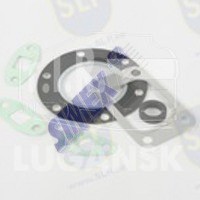 TGS-565, GASKET SET TURBO CONN. — SLP