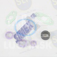 TGS-928, GASKET SET TURBO CONNECTION — SLP