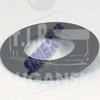 TLF-020, DISC SPRING — SLP